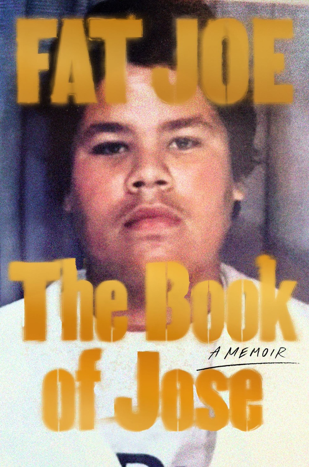 Fat Joe 'The Book Of Jose' Cover