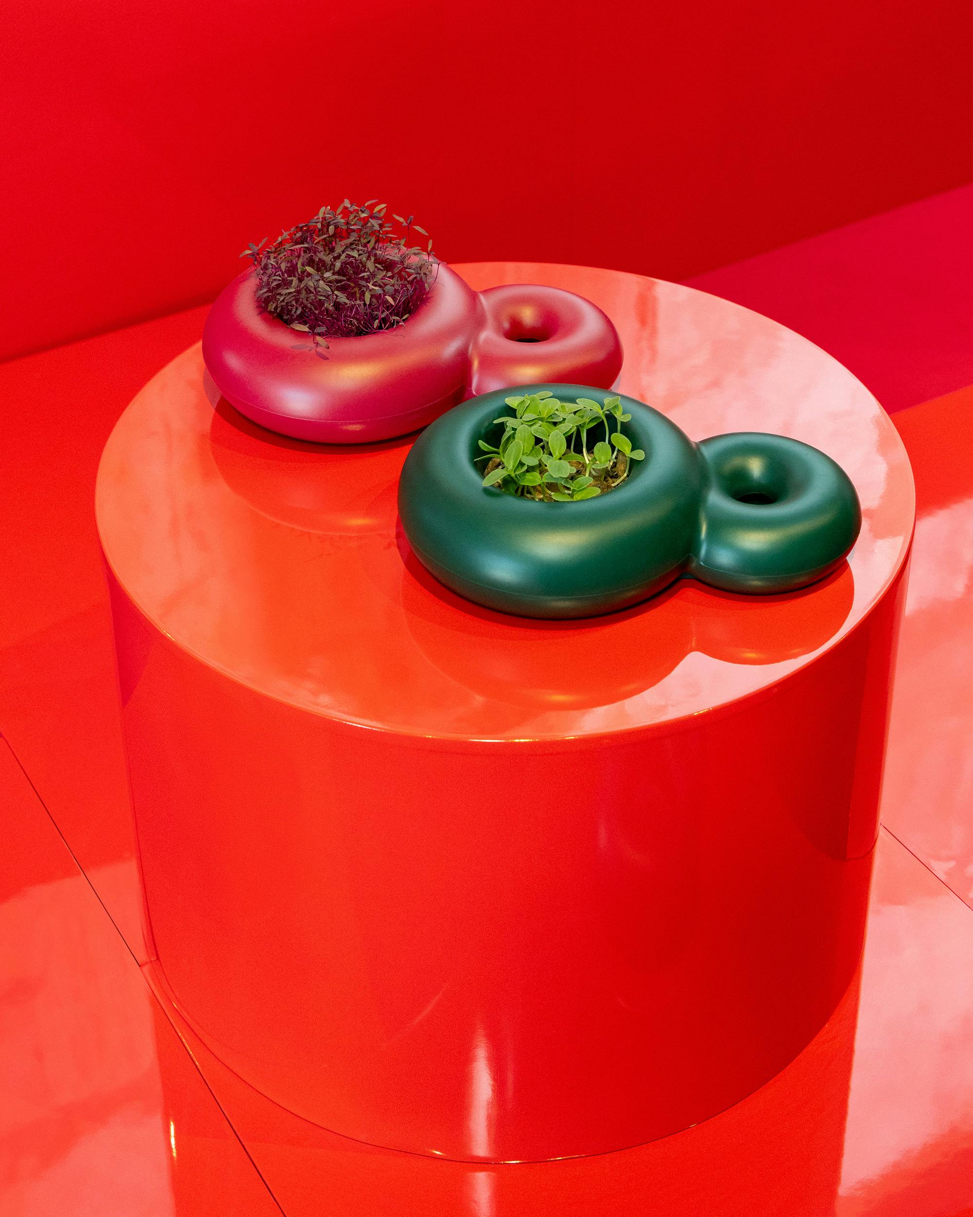 Sabine Marcelis x XL EXTRALIGHT® Bloom Planter